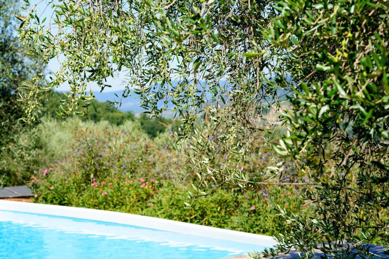 Agriturismo La Pieve Pelago 外观 照片