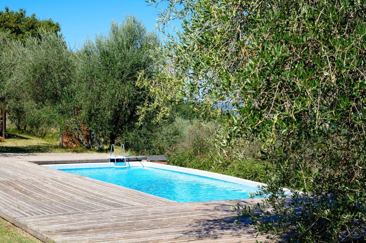 Agriturismo La Pieve Pelago 外观 照片