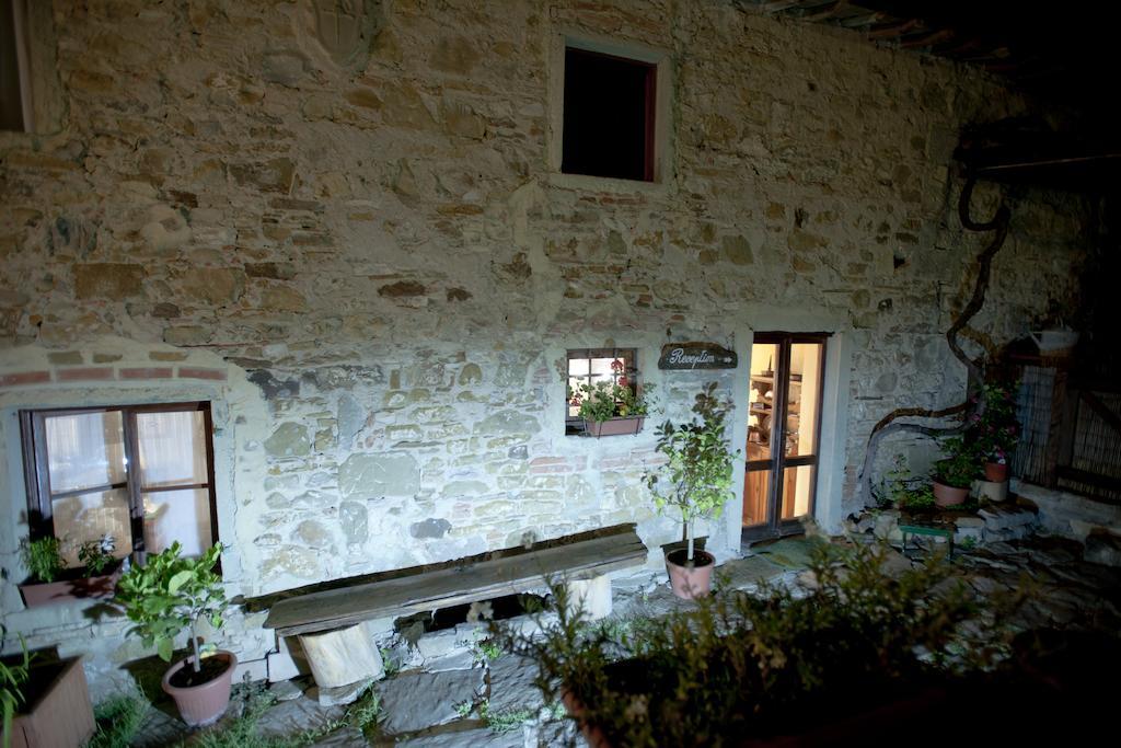 Agriturismo La Pieve Pelago 外观 照片