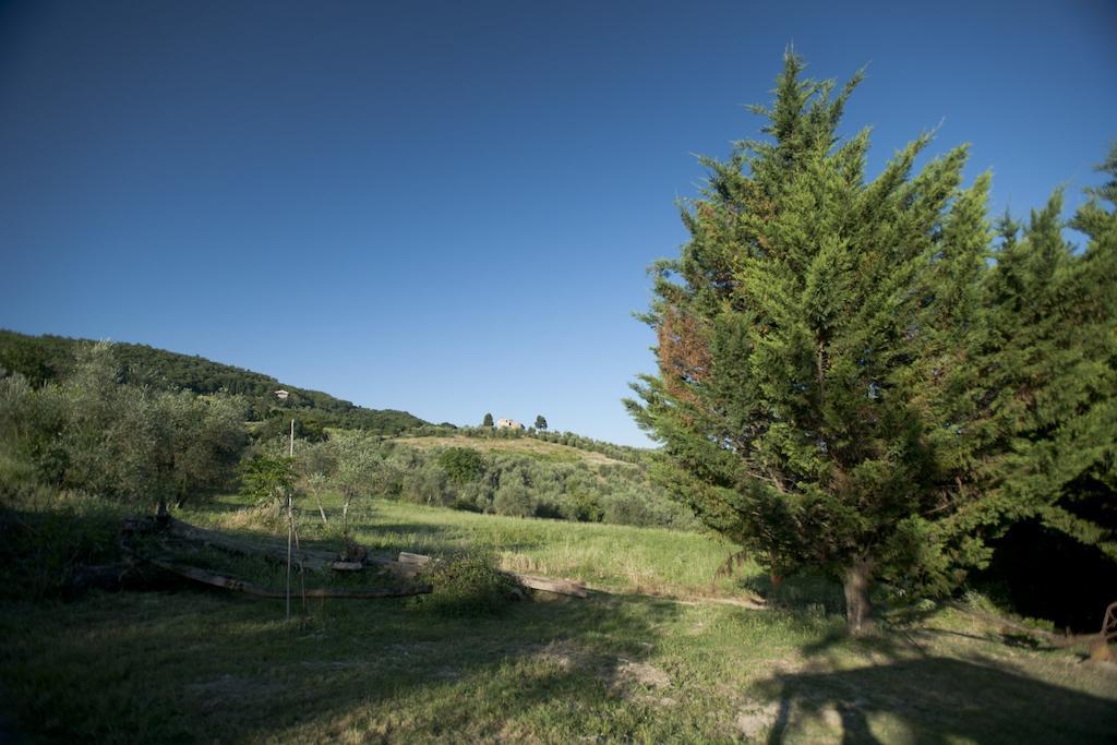Agriturismo La Pieve Pelago 外观 照片